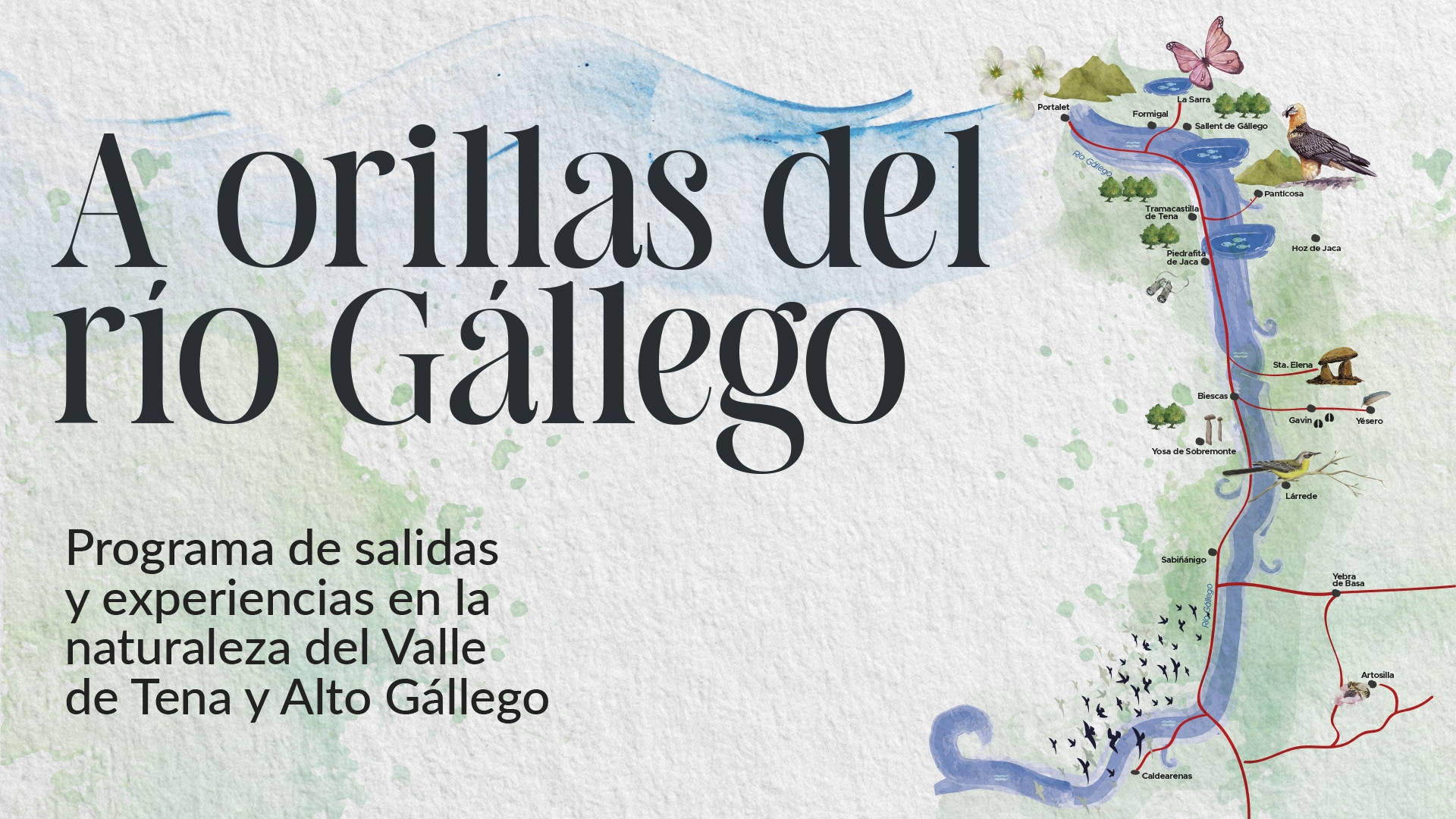 Orillas-del-Gallego-Naturalea-Ojos-Pirenaicos