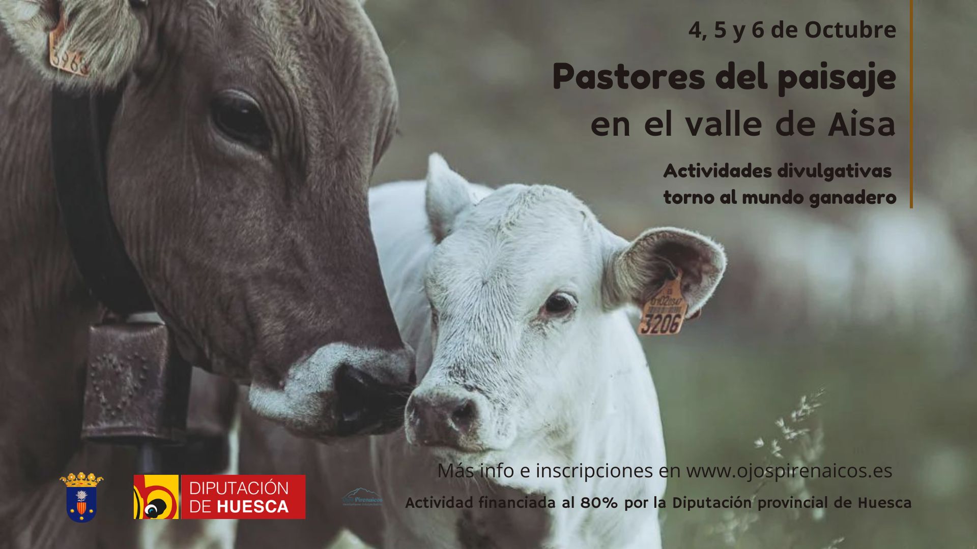 Actividades divulgativas en torno al mundo ganadero