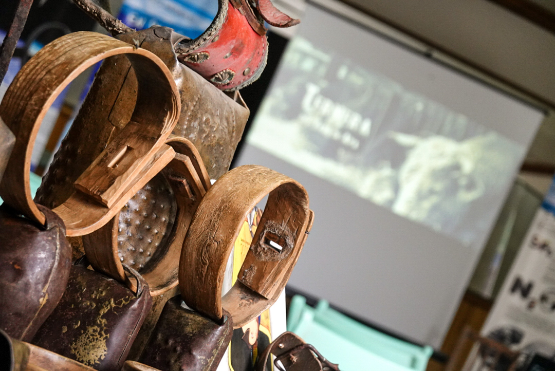 Pastores del Paisaje Valle de Aisa 4 5 6 Octubre 2024 Ojos Pirenaicos24