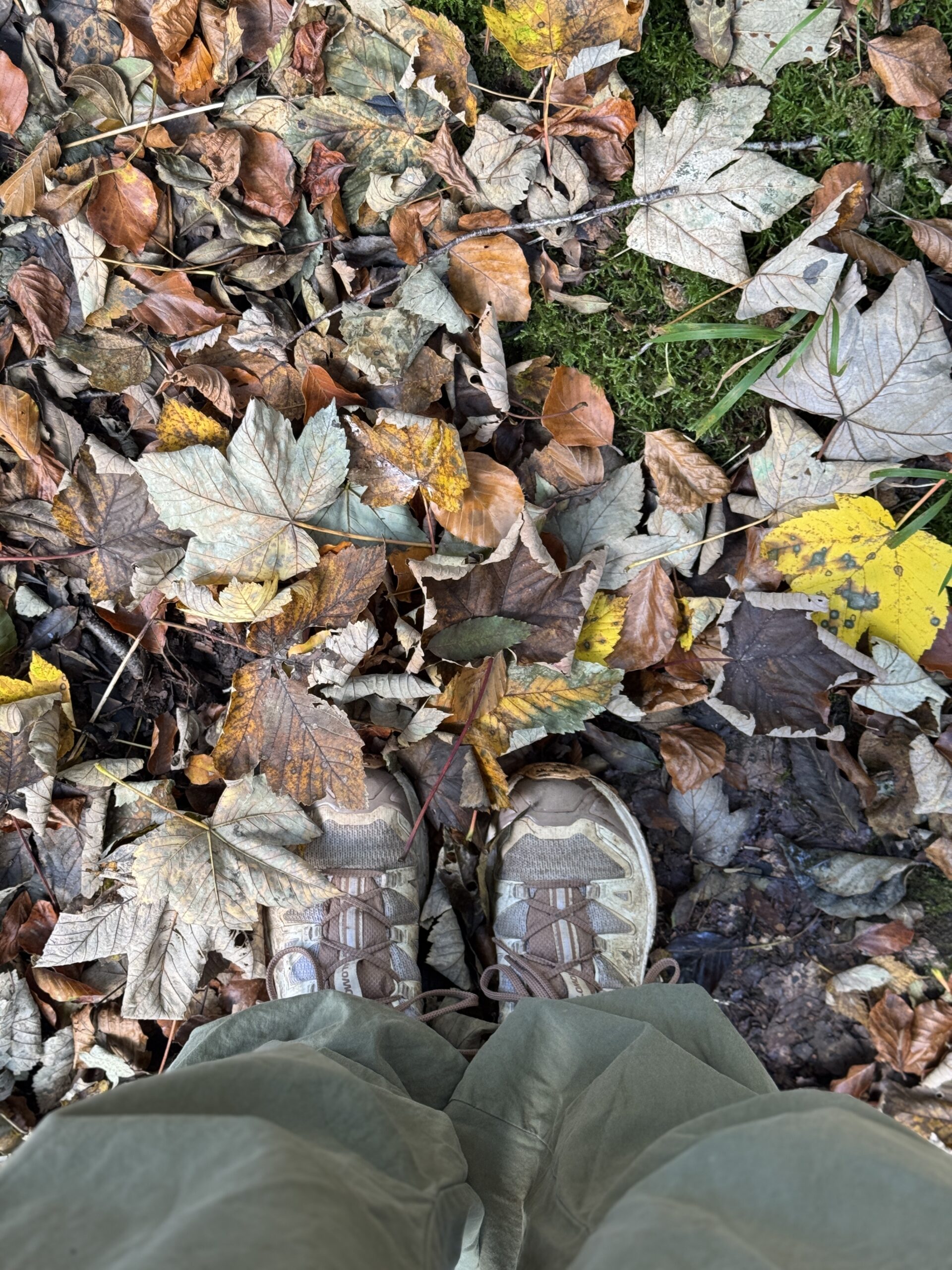 calzado para trekking