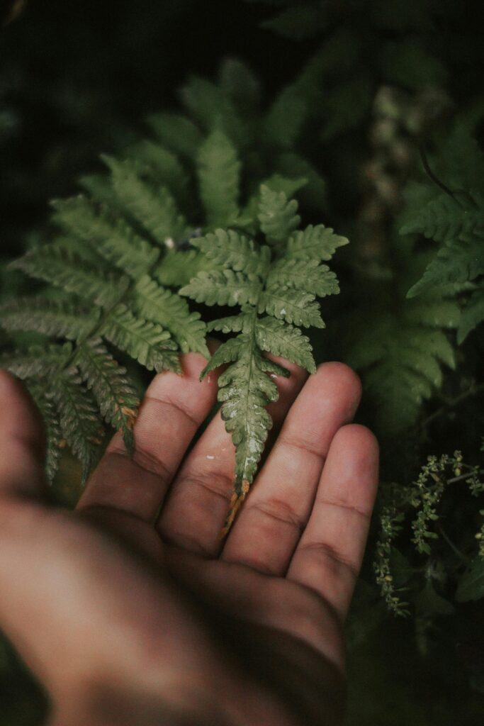 trekking consciente